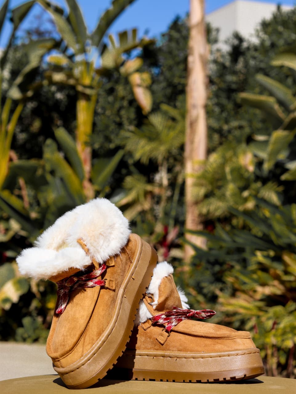 The Arctic Ridge Laced Mini