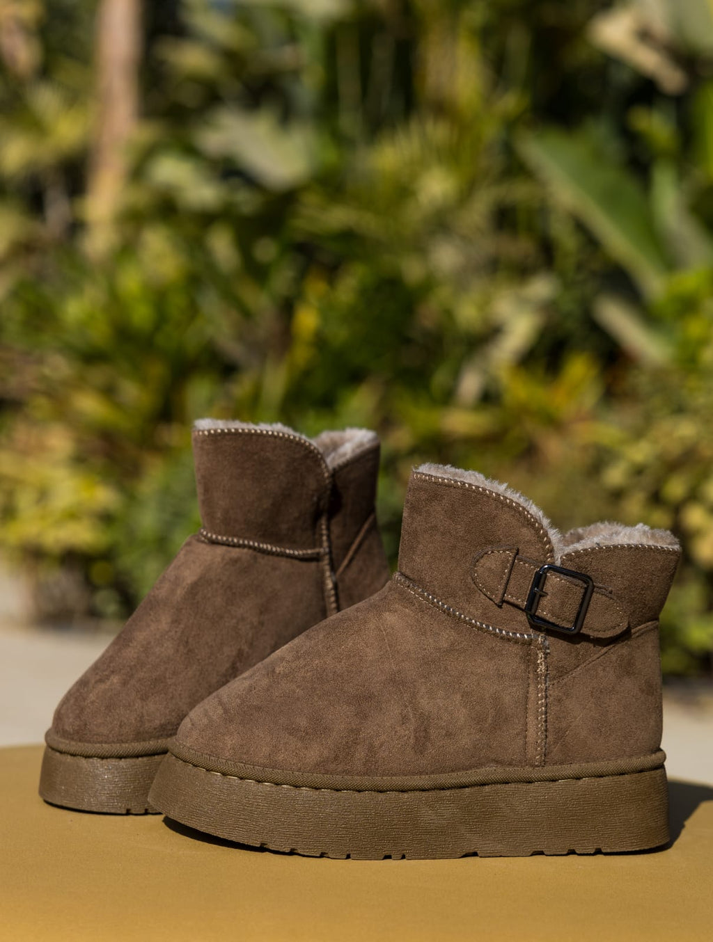 The Alpine Buckle Mini